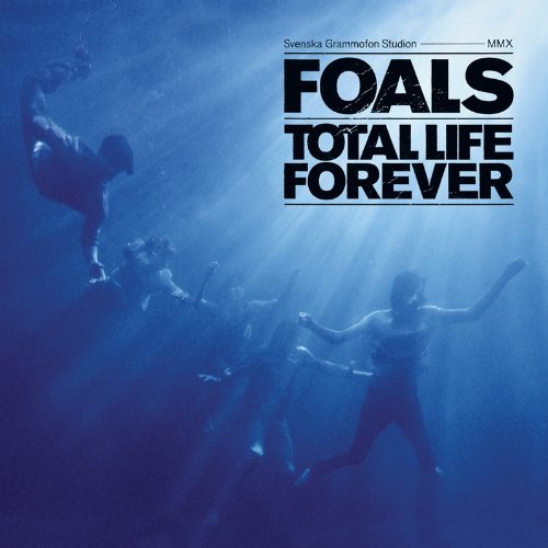 foalstotallife